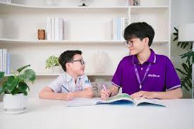 Tìm Sinh Viên Dạy Kèm Lớp 5 - Môn Toán Tiếng Việt Tiếng Anh Báo Bài